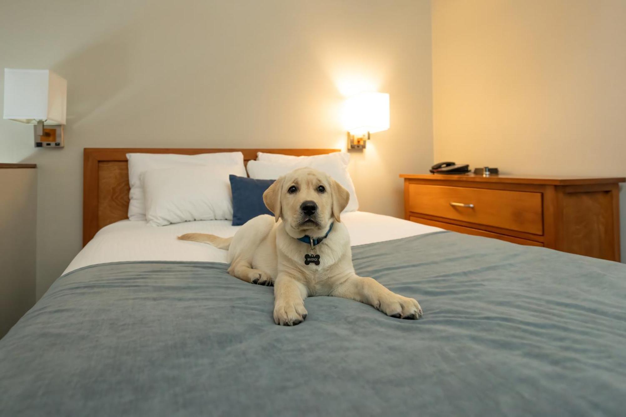 Whistler Village Inn & Suites Esterno foto
